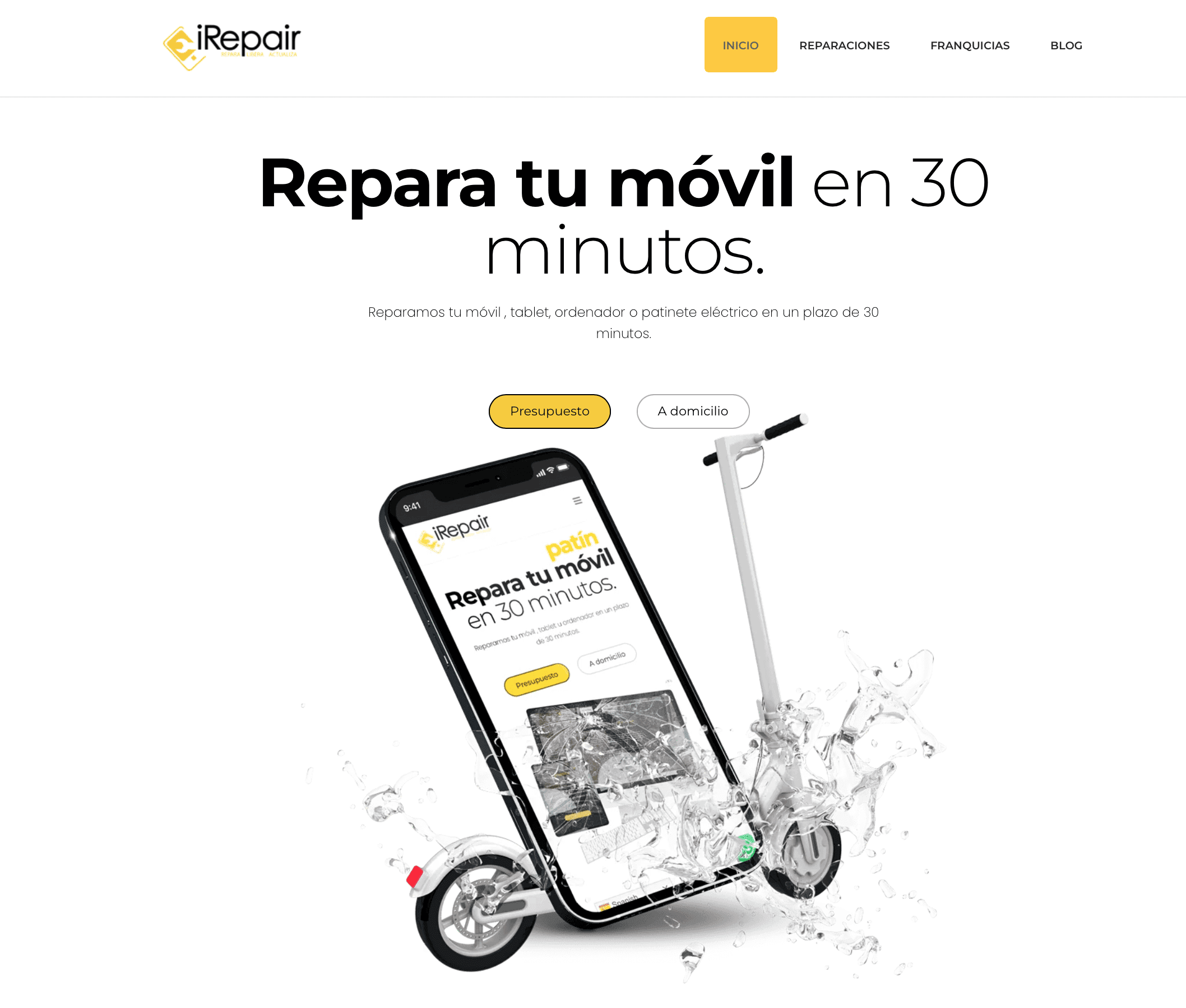 Diseño Web Profesional