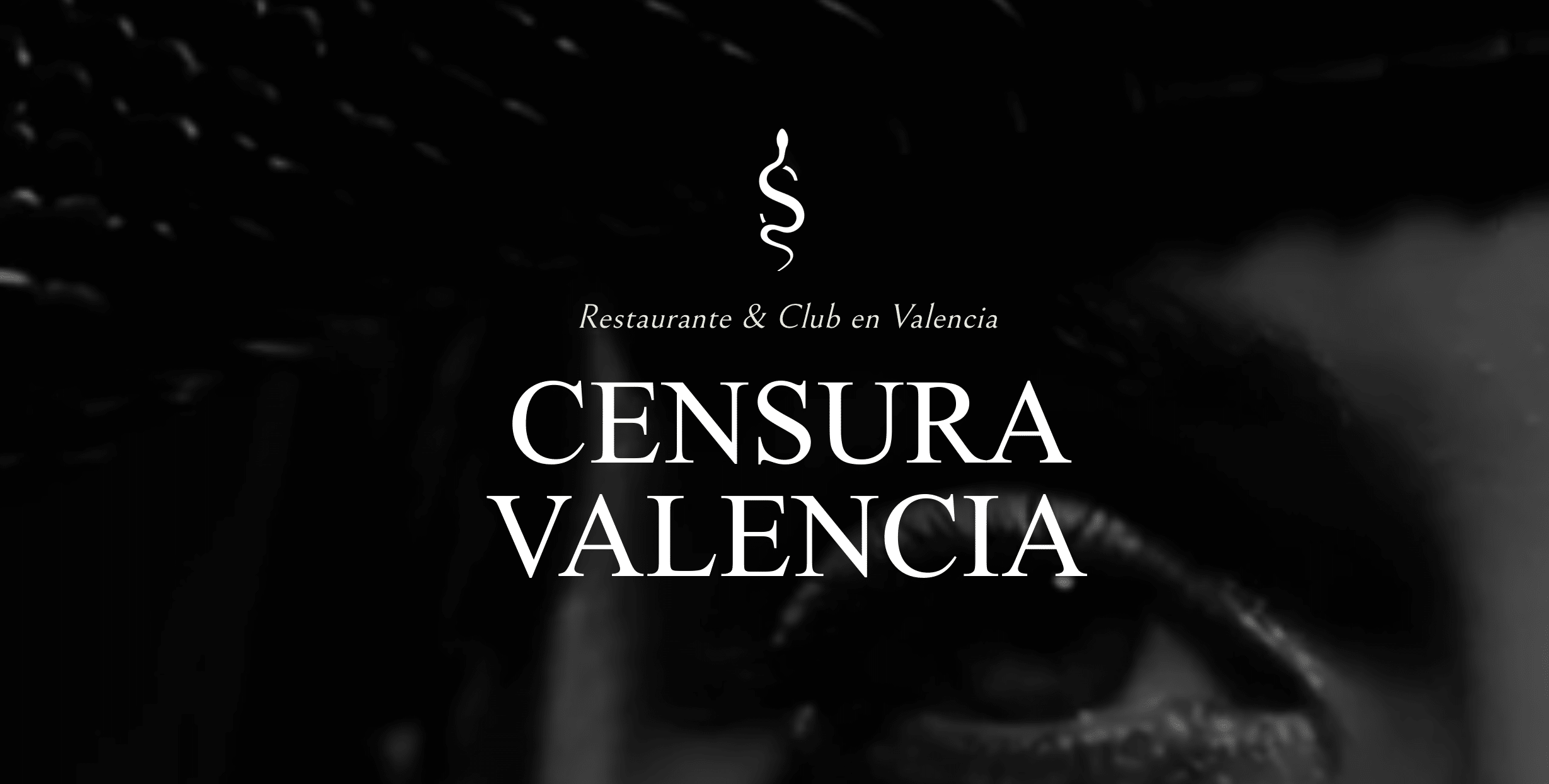 Diseño Web Profesional