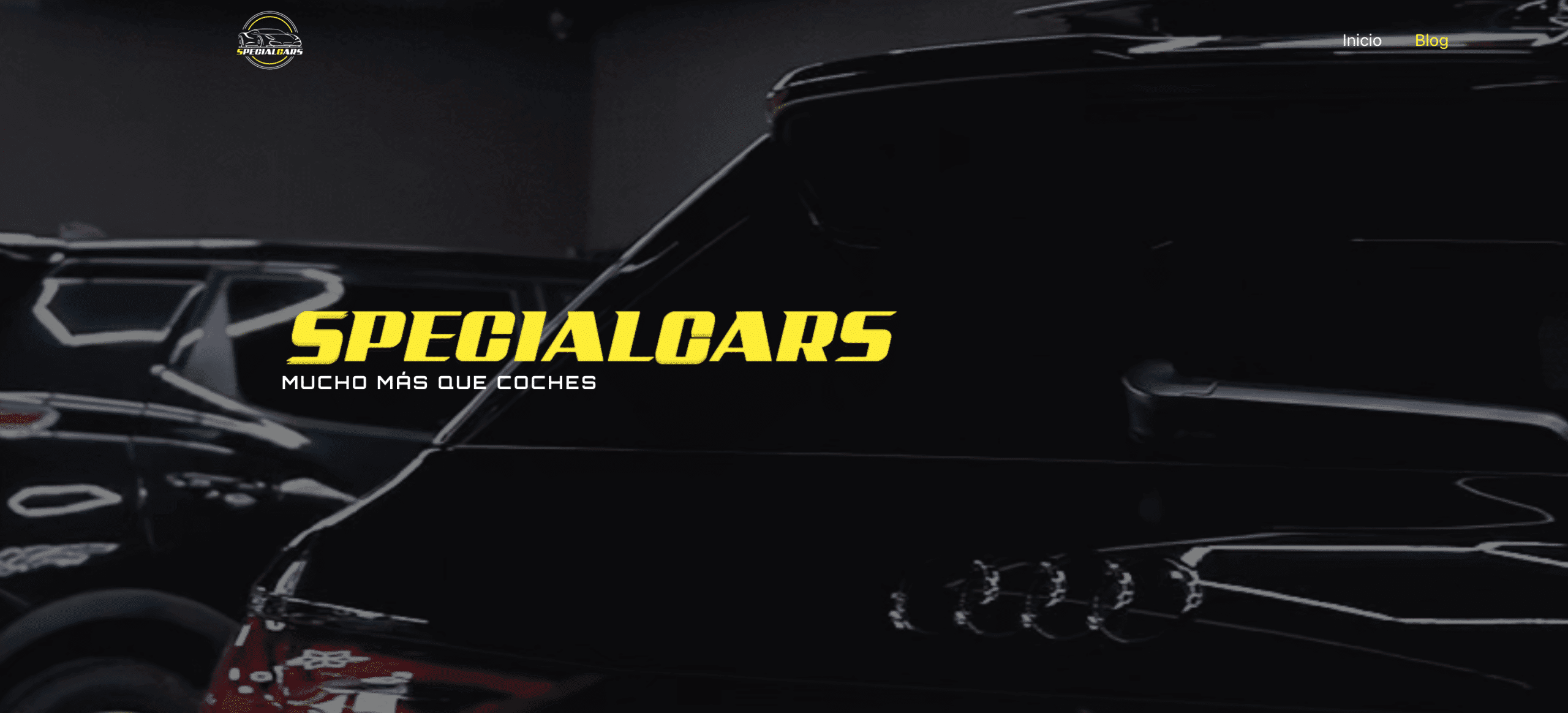 Diseño Web Profesional